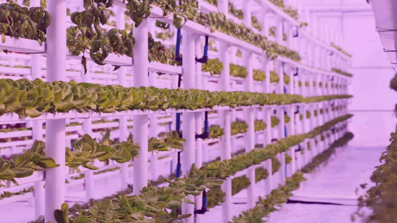 BioAspire facility