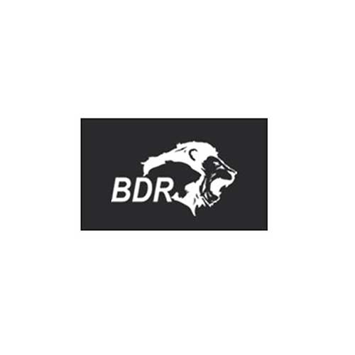 BioAspire client logo 08