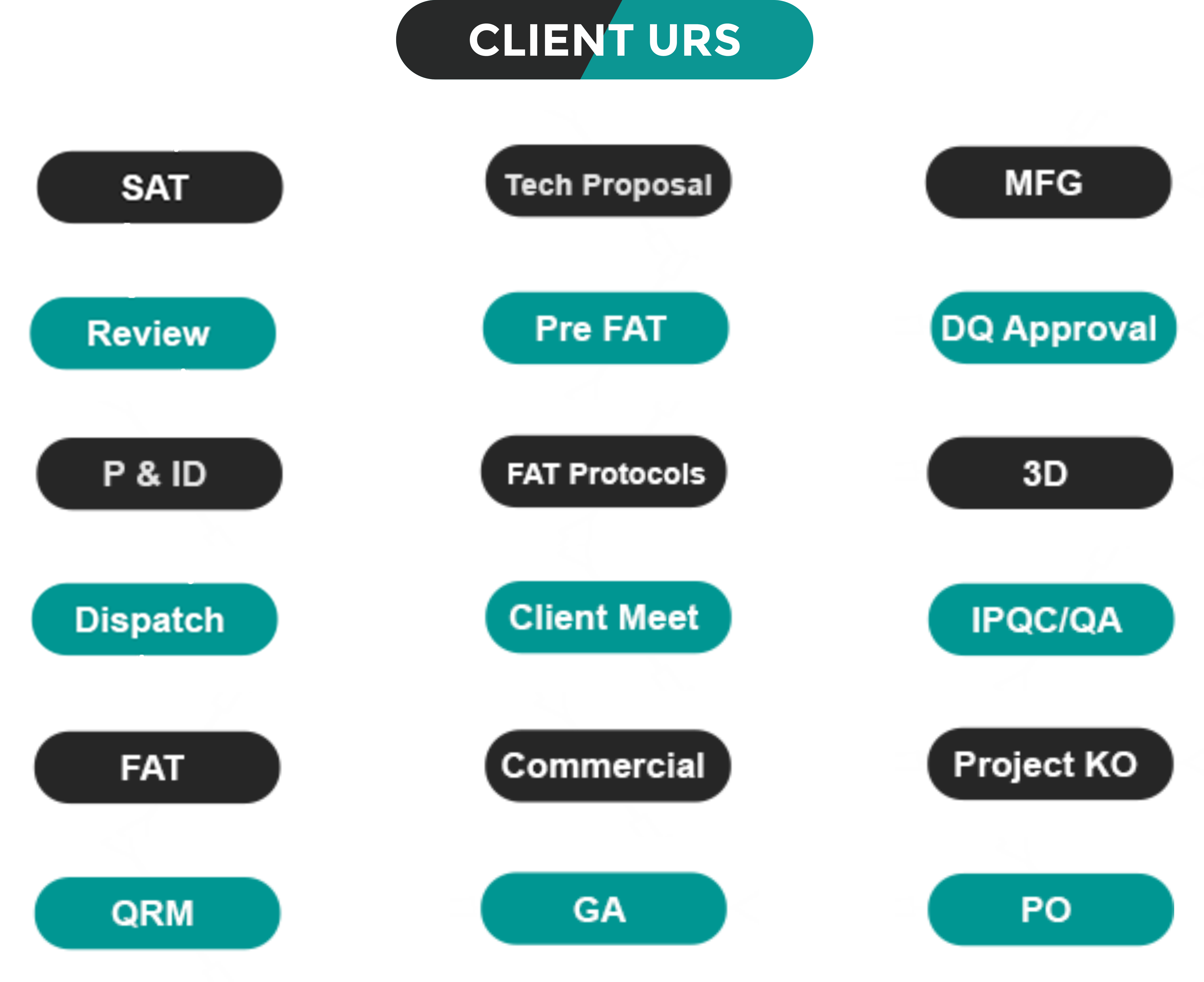 BioAspire process approach flowchart